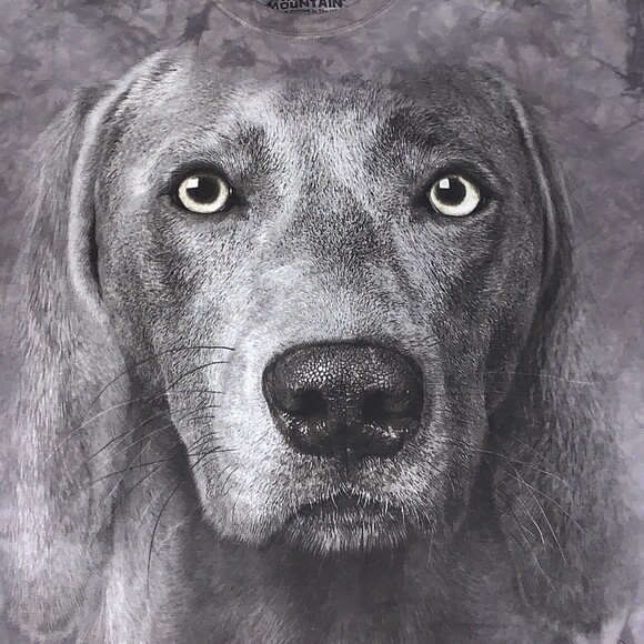 The Mountain Graphic T-Shirt 2013 Black Labrador Dog Puppy Face Tie Dye Large - Picture 2 of 7